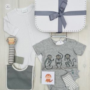 cheeky monkey | sweet arrivals baby hampers