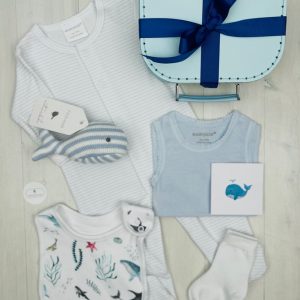 Whale Splash baby hamper | sweet arrivals baby gifts