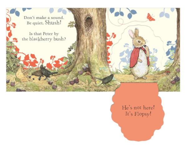 Where is Peter Rabbit | sweet arrivals baby hampers and gift