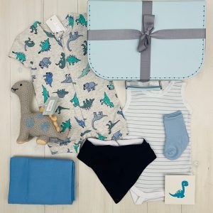 dino days | sweet arrivals baby hampers