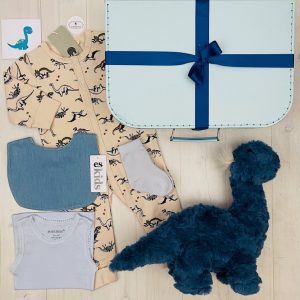 dino days | sweet arrivals baby hampers