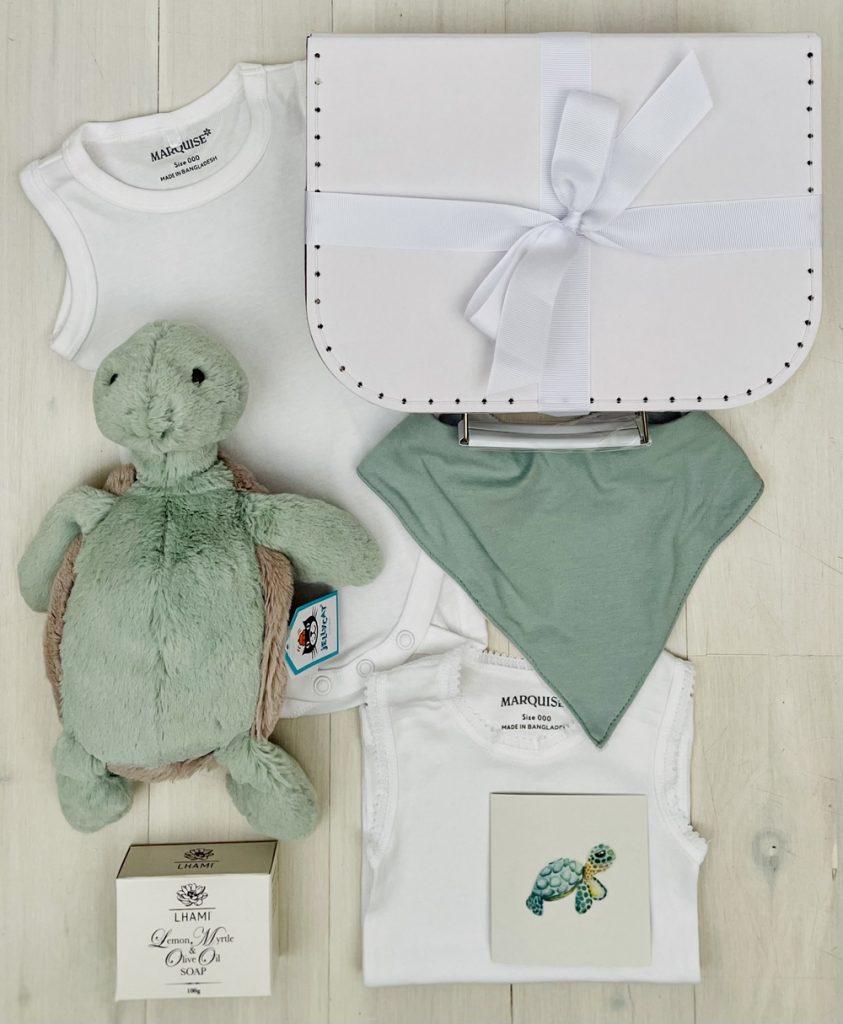 Baby Turtle Baby Unisex Hamper Sweet Arrivals