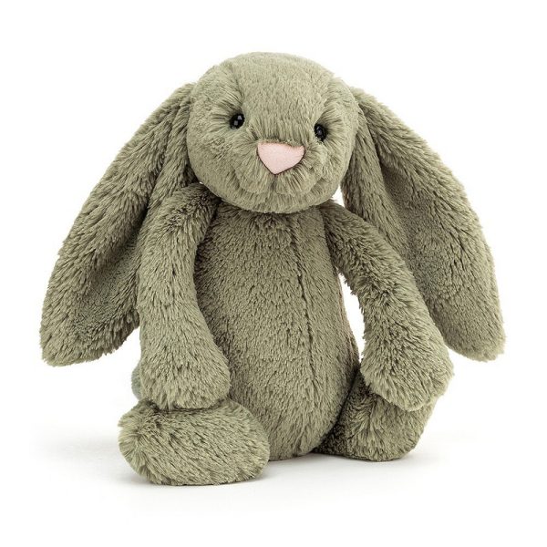 Jellycat fern bashful bunny | sweet arrivals baby hampers