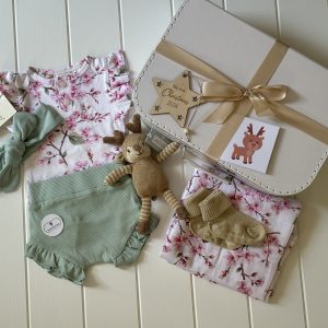 sweet-arrivals-little-cherry-reindeer-baby-hamper